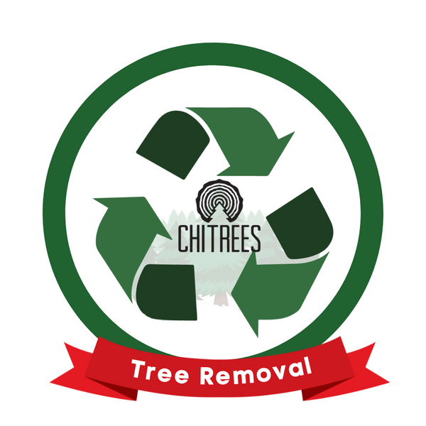 Tree Removal & Recycle